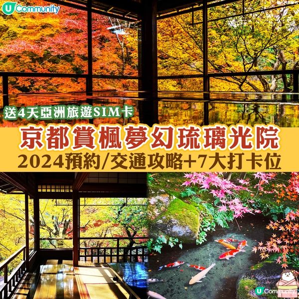 京都賞楓夢幻琉璃光院🍁2024預約/交通攻略+7大打卡位