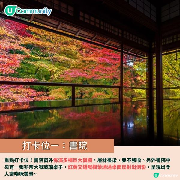 京都賞楓夢幻琉璃光院🍁2024預約/交通攻略+7大打卡位