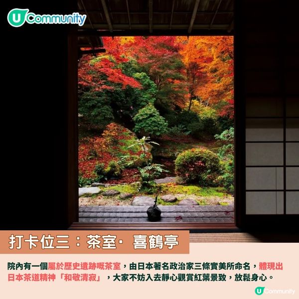 京都賞楓夢幻琉璃光院🍁2024預約/交通攻略+7大打卡位