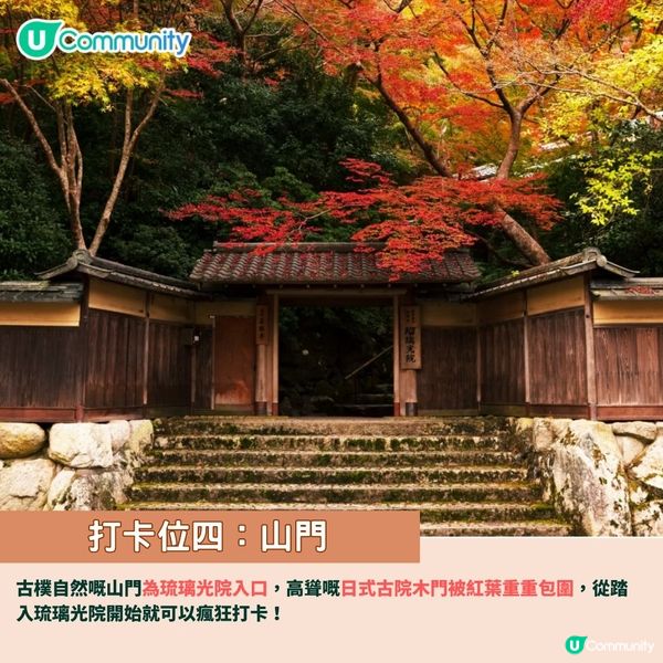 京都賞楓夢幻琉璃光院🍁2024預約/交通攻略+7大打卡位
