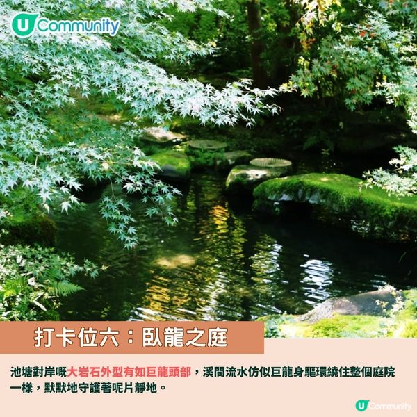 京都賞楓夢幻琉璃光院🍁2024預約/交通攻略+7大打卡位