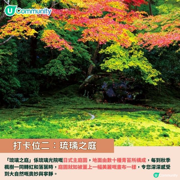 京都賞楓夢幻琉璃光院🍁2024預約/交通攻略+7大打卡位