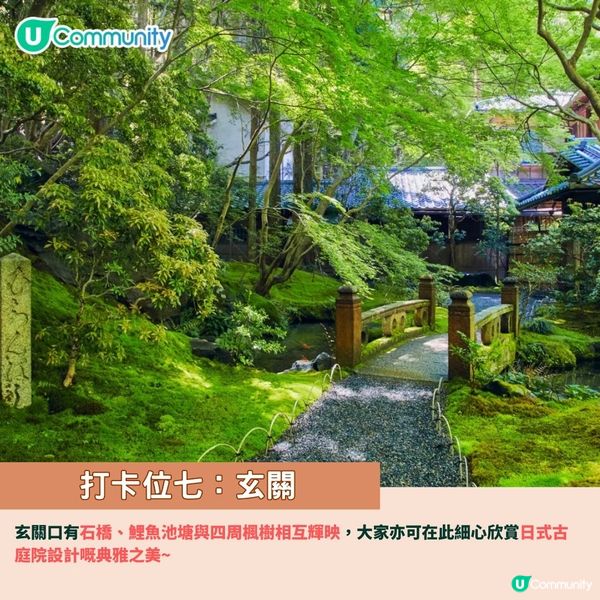 京都賞楓夢幻琉璃光院🍁2024預約/交通攻略+7大打卡位