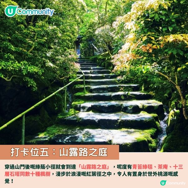 京都賞楓夢幻琉璃光院🍁2024預約/交通攻略+7大打卡位