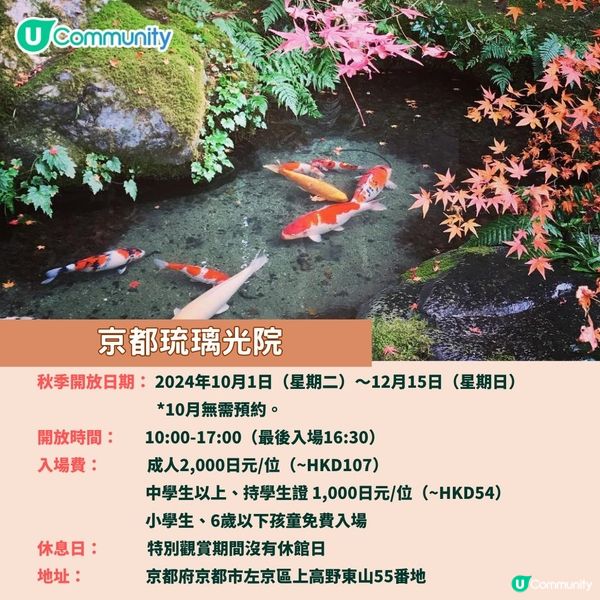 京都賞楓夢幻琉璃光院🍁2024預約/交通攻略+7大打卡位