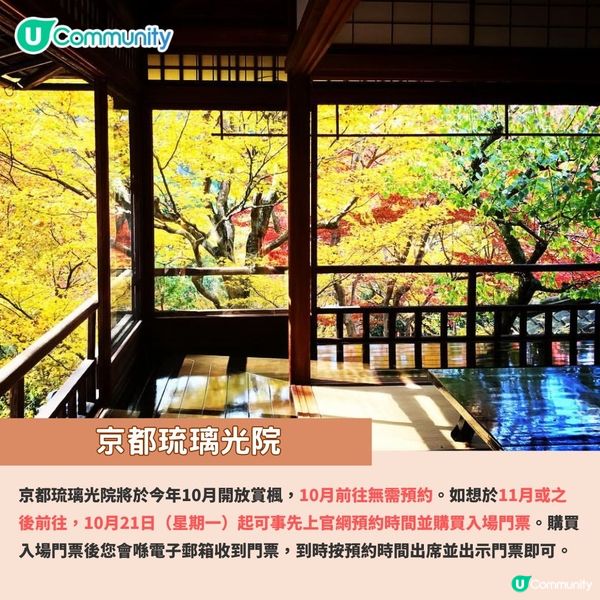 京都賞楓夢幻琉璃光院🍁2024預約/交通攻略+7大打卡位