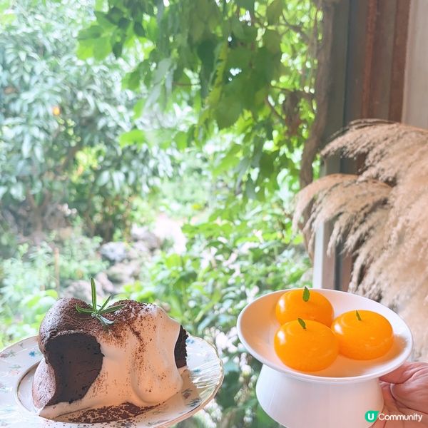 🍊濟州必去橘子咖啡廳🇰🇷