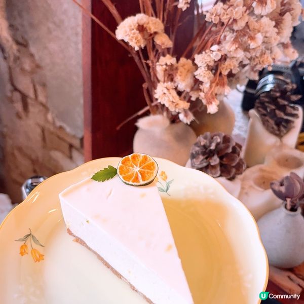 🍊濟州必去橘子咖啡廳🇰🇷