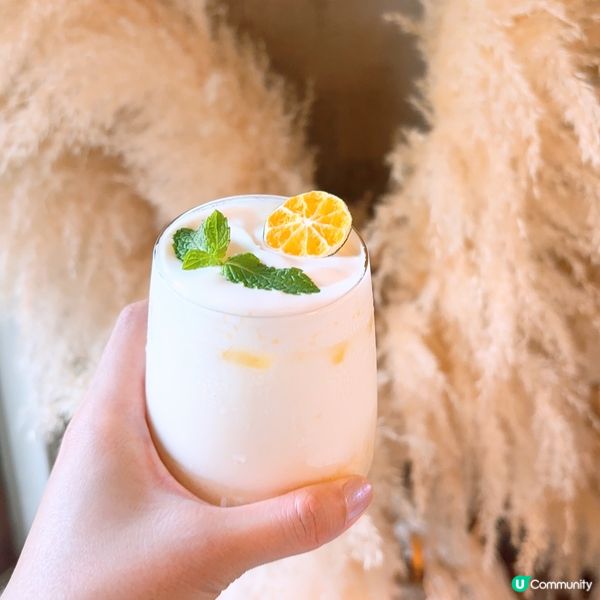 🍊濟州必去橘子咖啡廳🇰🇷