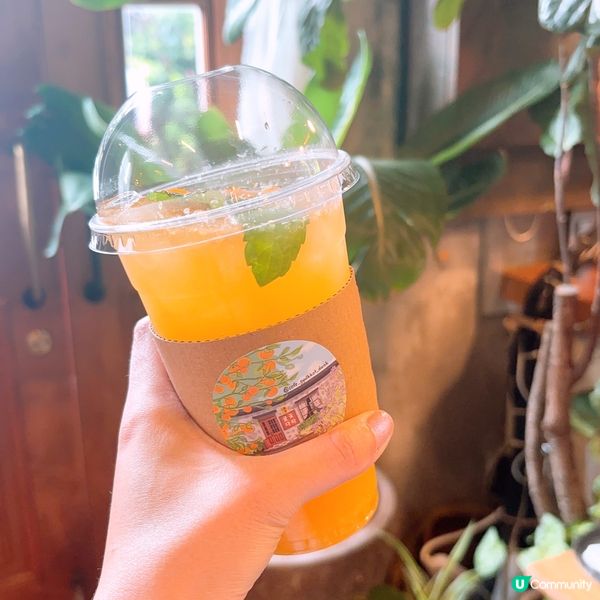 🍊濟州必去橘子咖啡廳🇰🇷