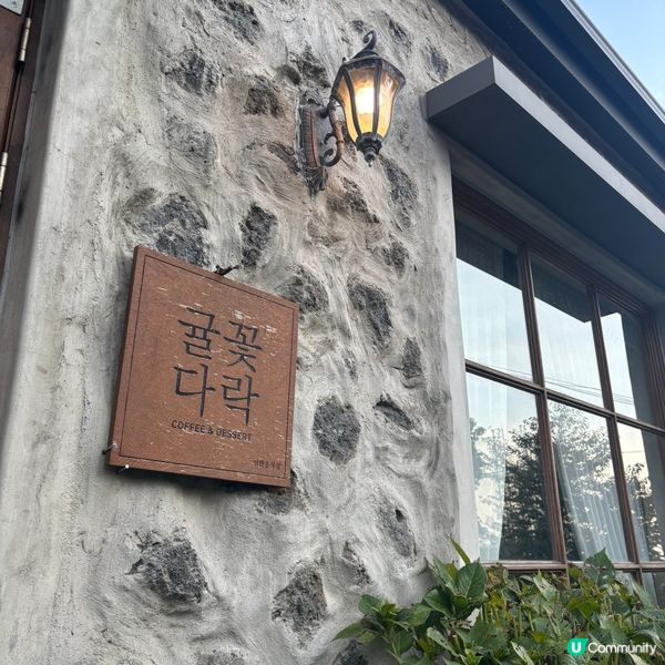 🍊濟州必去橘子咖啡廳🇰🇷