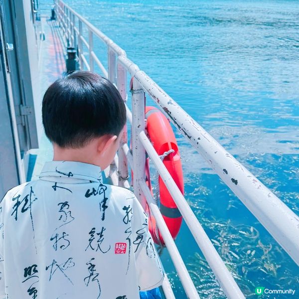 大理遊記：白族風情，彩禮娶老婆！🤩