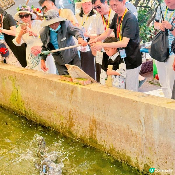 大理遊記：白族風情，彩禮娶老婆！🤩