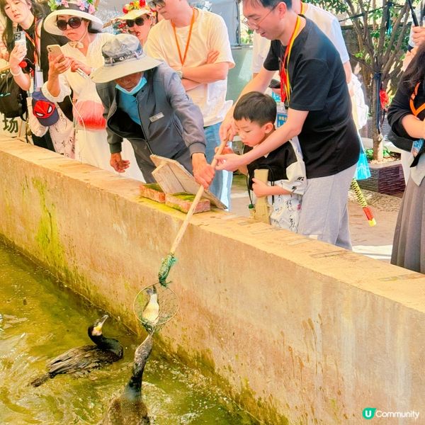 大理遊記：白族風情，彩禮娶老婆！🤩