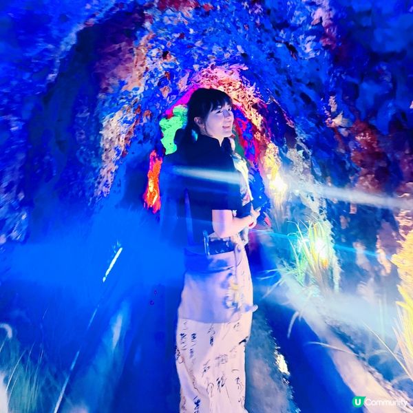 大理遊記：白族風情，彩禮娶老婆！🤩