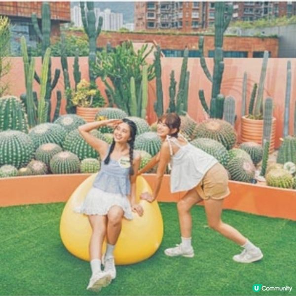 新城市廣場最新推出兩大主題Park
