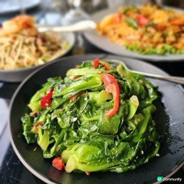 九龍公園實景 休閒戶外區