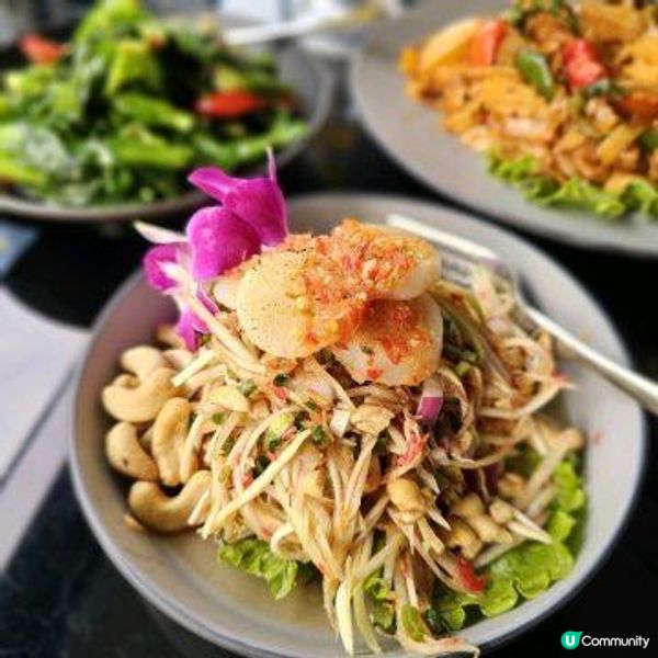 九龍公園實景 休閒戶外區