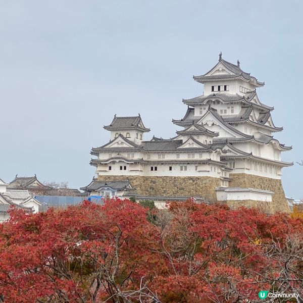 🏯姬路城🎌🍁可能係你冇諗過嘅賞楓熱門景點💯