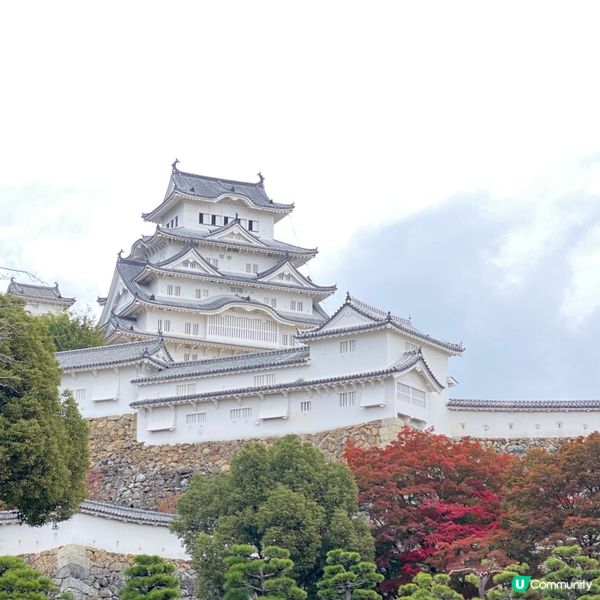 🏯姬路城🎌🍁可能係你冇諗過嘅賞楓熱門景點💯