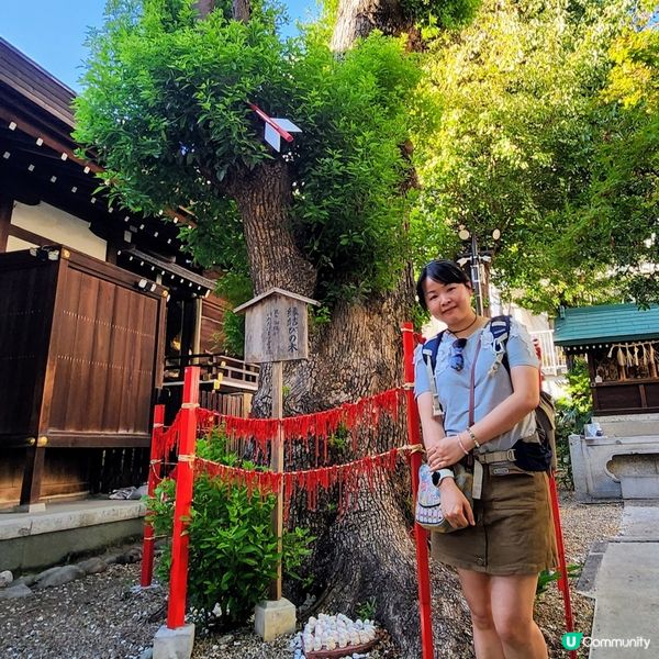 🥰隱藏「兔仔」神社祈福🥰~可愛兔仔繪馬💕