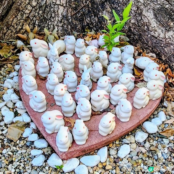 🥰隱藏「兔仔」神社祈福🥰~可愛兔仔繪馬💕