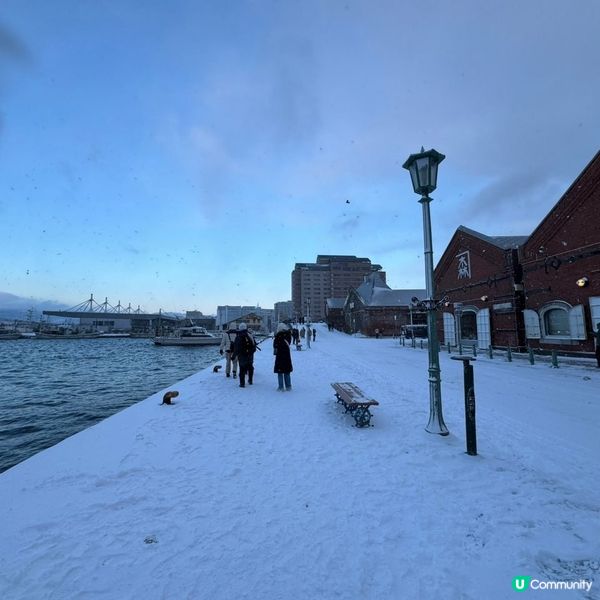 ❄️☃️8日7夜玩盡函館&札幌行程☃️❄️
