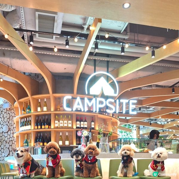 [旺角寵物友善餐廳] 朗豪坊室內露營主題餐廳🏕️
