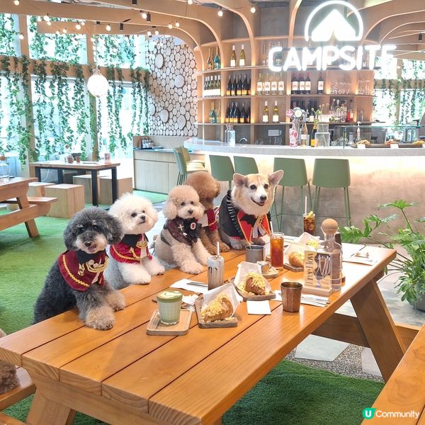[旺角寵物友善餐廳] 朗豪坊室內露營主題餐廳🏕️
