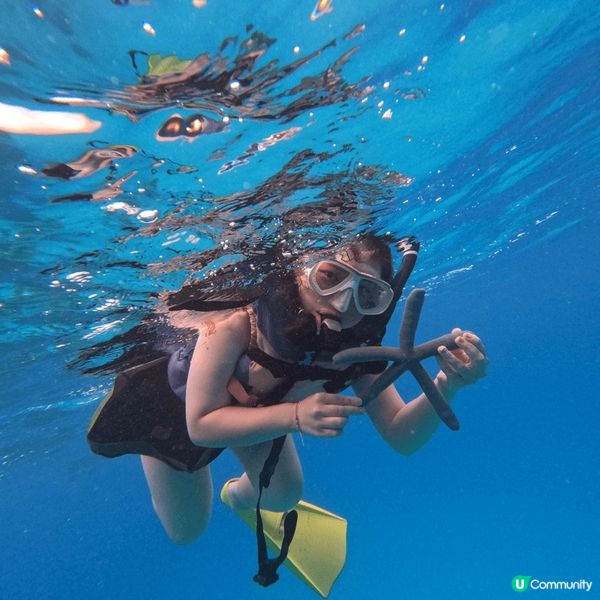 沖繩?? 慶良間群島 係一生人必去既地方之 無論係潛水定浮潛...