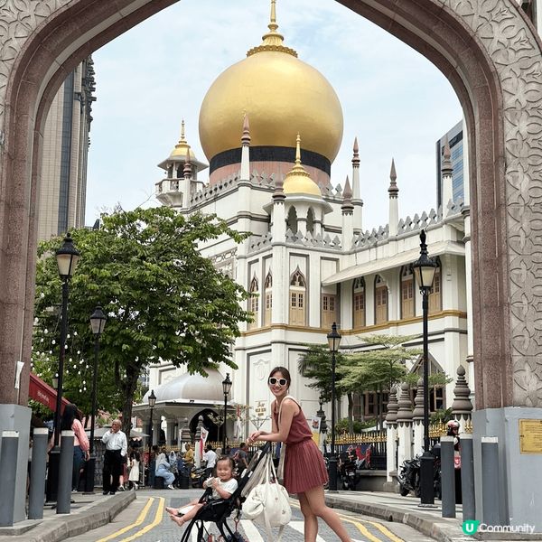 位於新加坡小印度區的一間寺廟，這個位置打卡十分漂亮，照片很有...