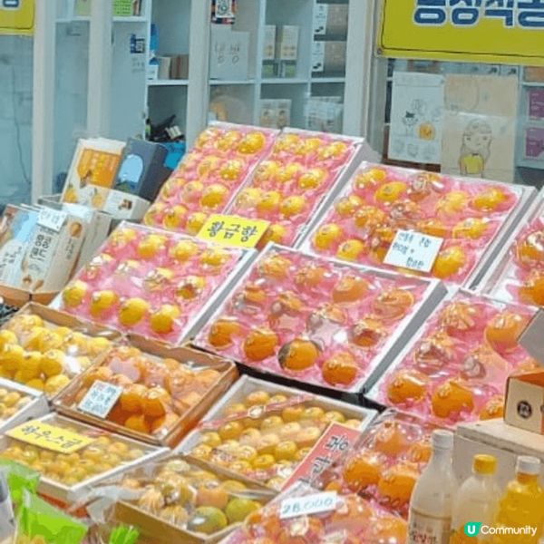 濟州柑是當地名產,每逢當造4-6月整個世場都係濟州柑同佢有關...