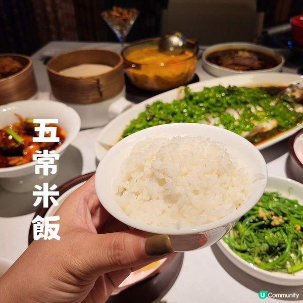 深圳 ︳超有驚喜的四川菜