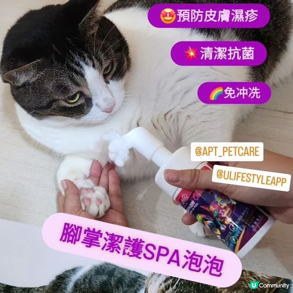 😈巴屎閉🫤成個明星貓咁😏‼️ 難為我生死時速咁款‼️