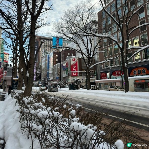 北海道行程 - 二條市場&狸小路&機場購物