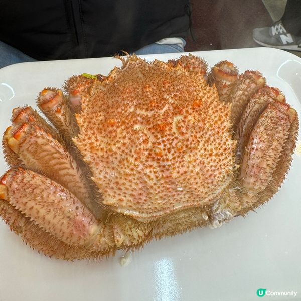 ☃️小樽@來北海道必定吃蟹 - 滝波食堂