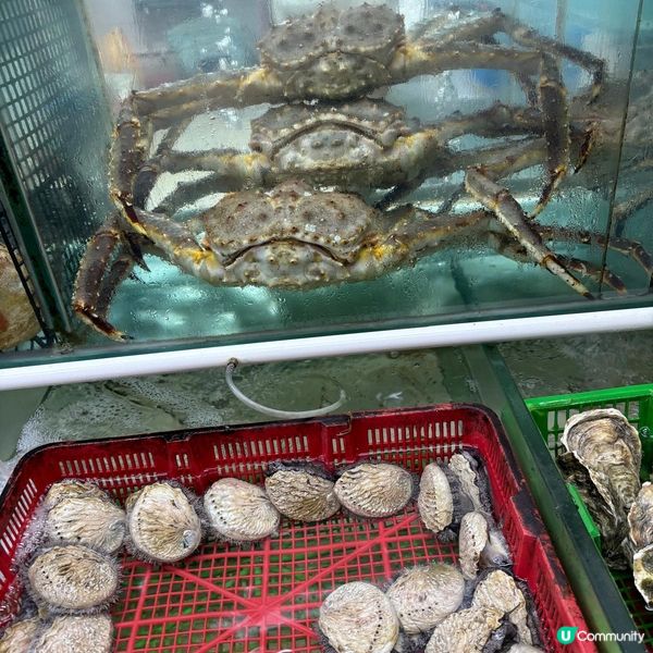 鯉魚門的海鮮好大隻🤩