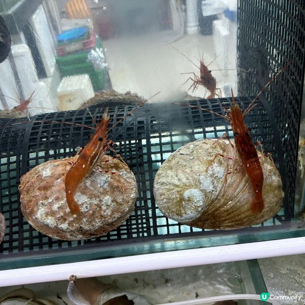 鯉魚門的海鮮好大隻🤩