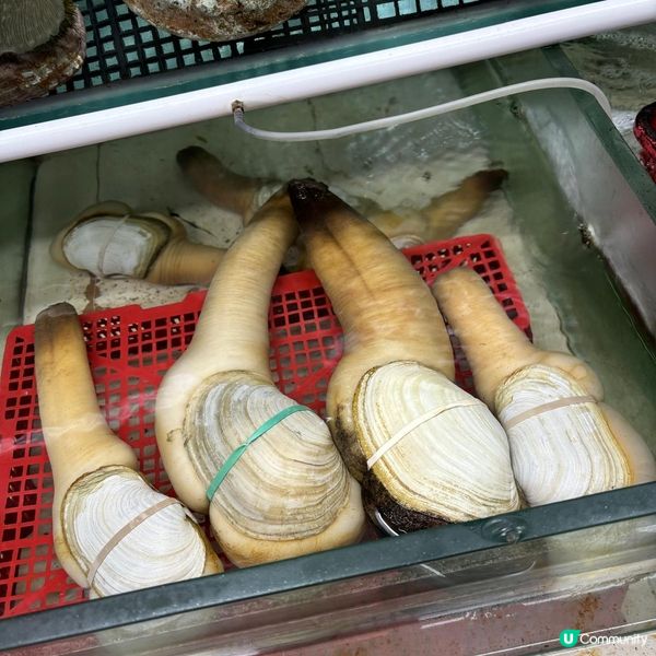 鯉魚門的海鮮好大隻🤩