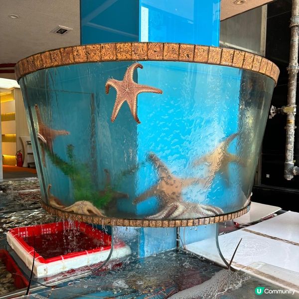 鯉魚門的海鮮好大隻🤩