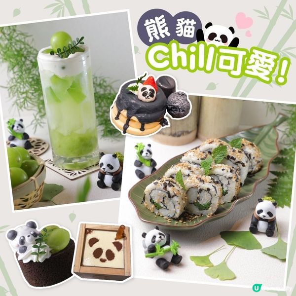 ✨🌟熊貓Chill可愛🐼梗係相機食先