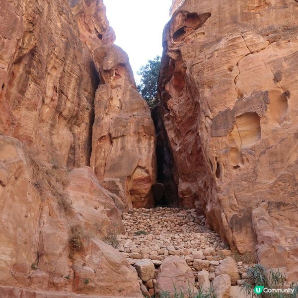 約旦佩特拉古城（Petra) - 世界七大古蹟之一