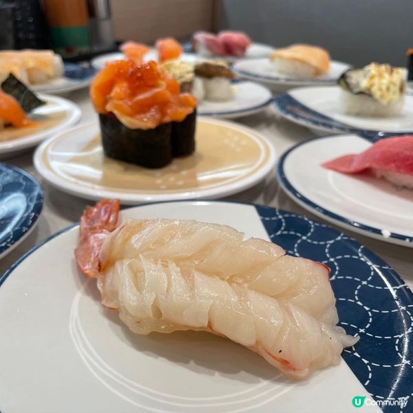 佐敦•抵食日本人氣迴轉壽司