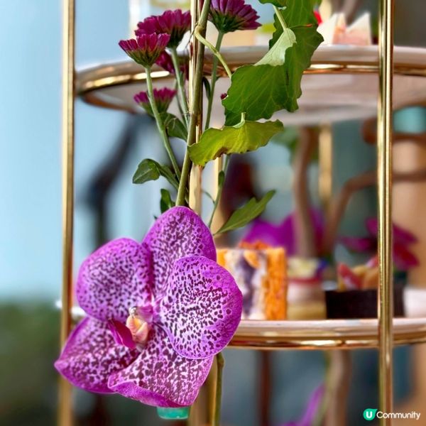 好葡萄喔@Lobby Lounge