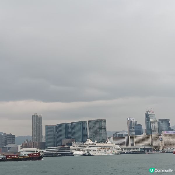 維港日景與夜景，各顯美態！