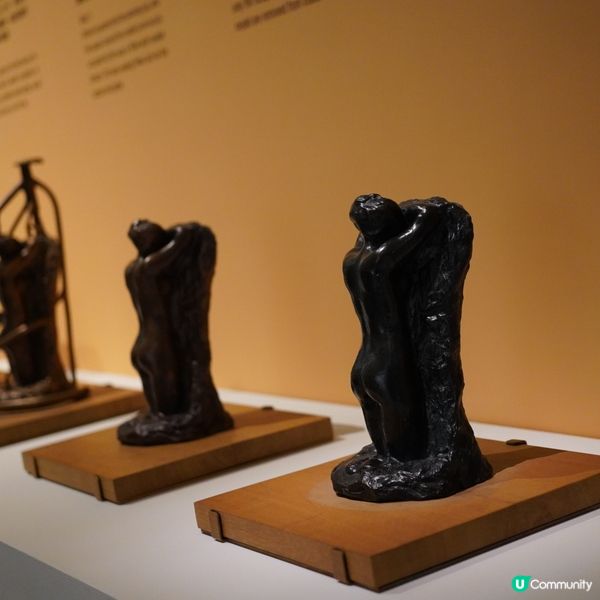 台北富邦美術館之旅🎨  羅丹、梵谷一次滿足！