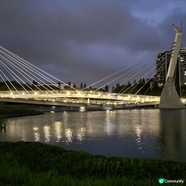 ## 桃園打卡新地標！青塘園靚到爆💥