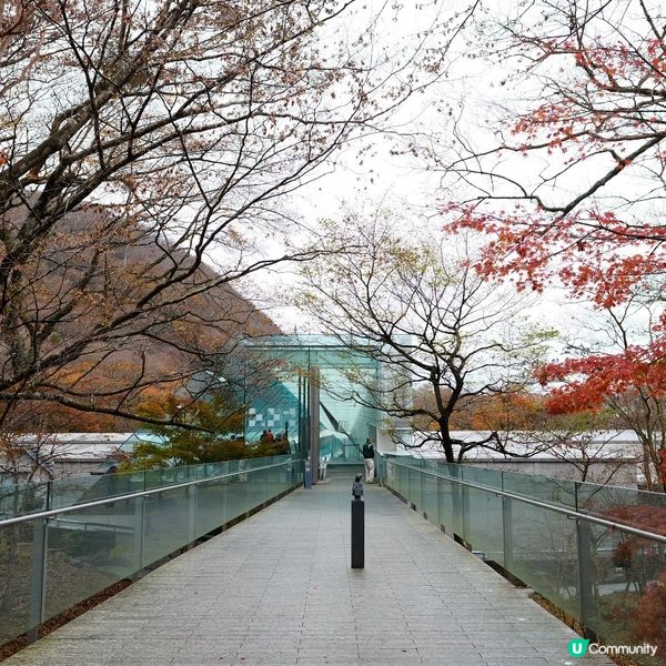 箱根紅葉之旅🍁富士山美景盡收眼底！附屬完美行折扣