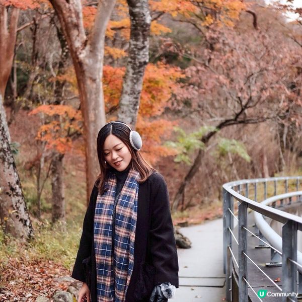 箱根紅葉之旅🍁富士山美景盡收眼底！附屬完美行折扣