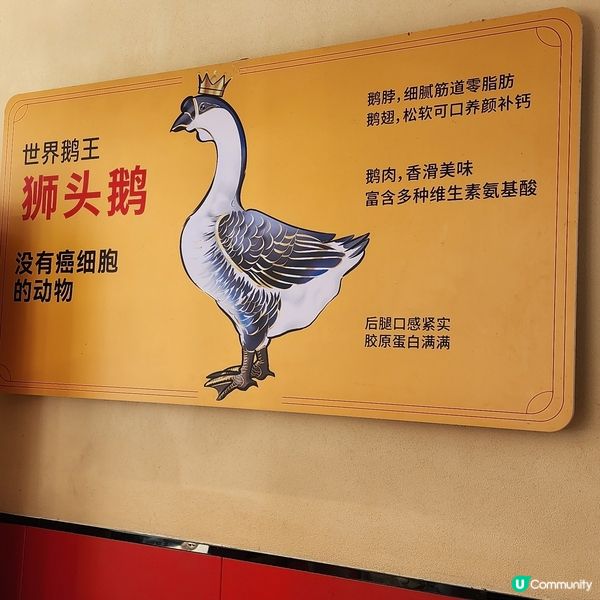 😱獅頭鵝😋  皇崗紅灶头「柴火炖大鵝」🔥